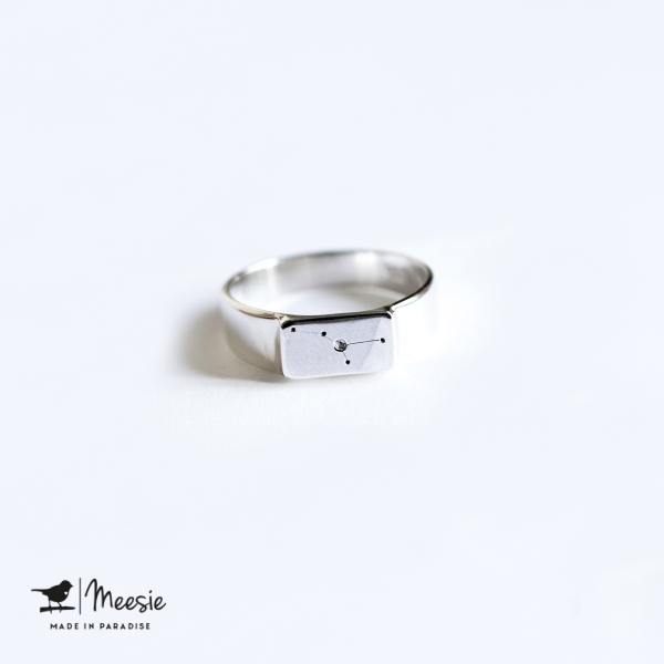 Ring Sterrenbeeld Kreeft zilver Ring Sterrenbeeld Kreeft zilver